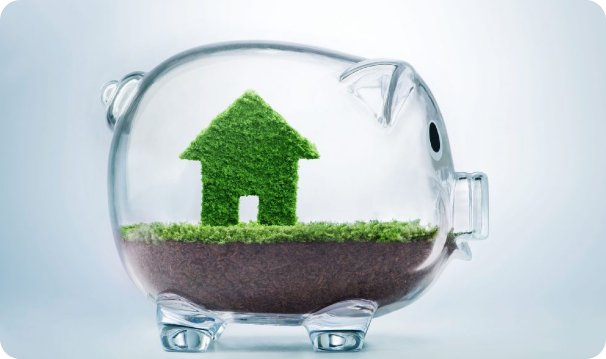kiwi-saver-scheme kiwi-saver-scheme
